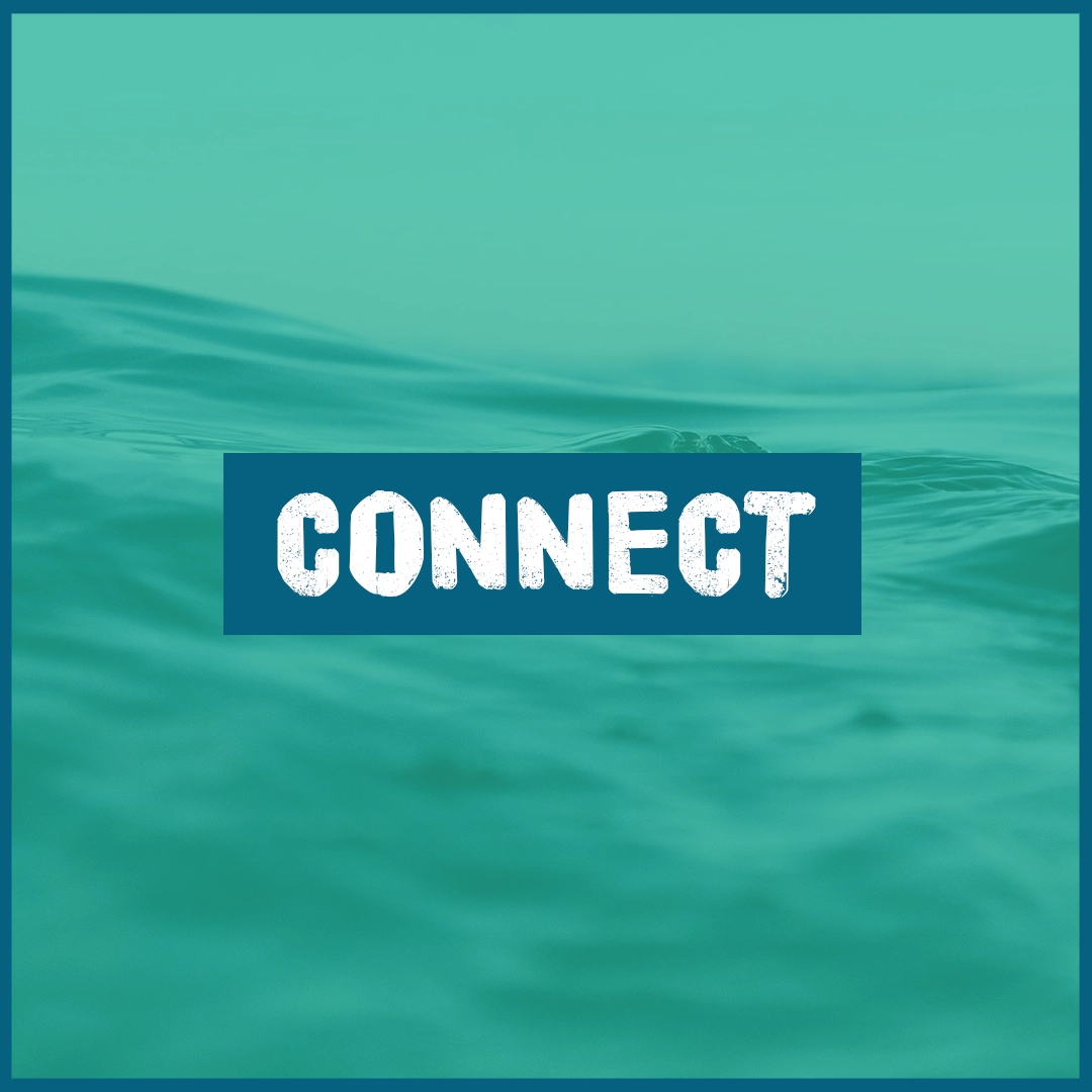 CONNECT